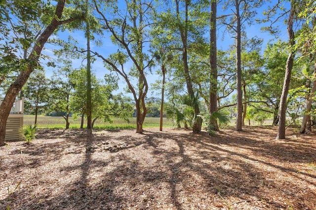 3052 Seabrook Island Rd, Seabrook Island, SC 29455 - view of yard