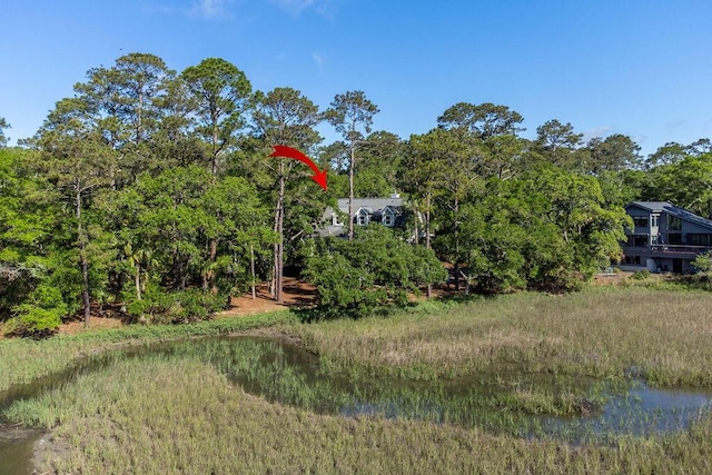 3052 Seabrook Island Rd, Seabrook Island, SC 29455 - view of yard