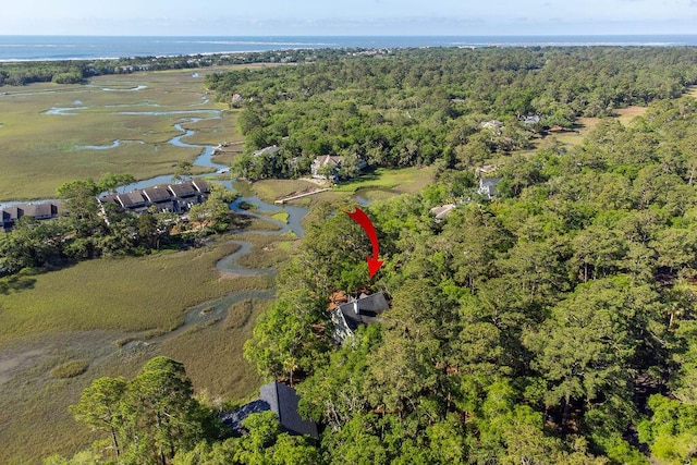 3052 Seabrook Island Rd, Seabrook Island, SC 29455 - aerial view of property's location featuring a forest and a large body of water