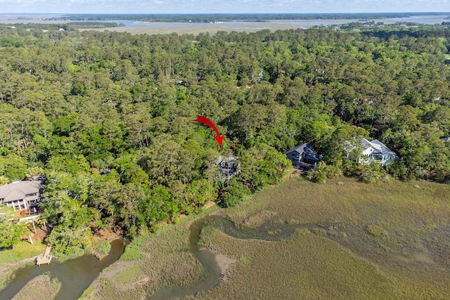 3052 Seabrook Island Rd, Seabrook Island, SC 29455 - aerial view of property's location with a heavily wooded area