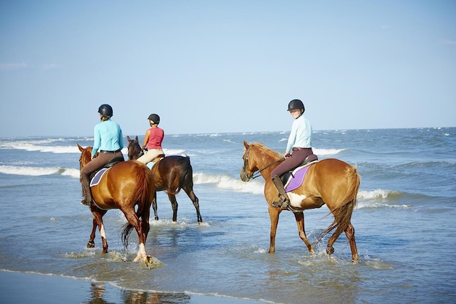 3052 Seabrook Island Rd, Seabrook Island, SC 29455 - horse barn with a water view