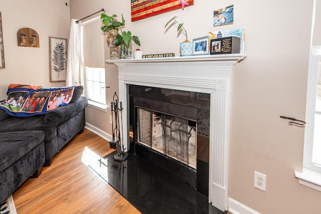 living room with hardwood / wood-style flooring