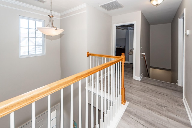 corridor featuring hardwood / wood-style floors and crown molding