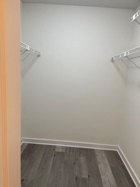 walk in closet with dark wood-type flooring