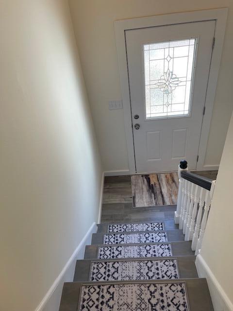 entrance foyer featuring dark hardwood / wood-style flooring