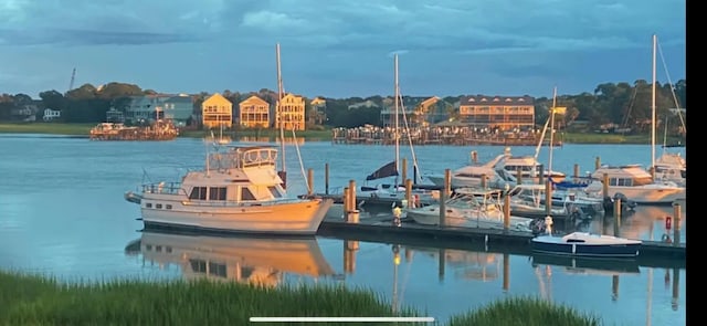 dock area with a water view