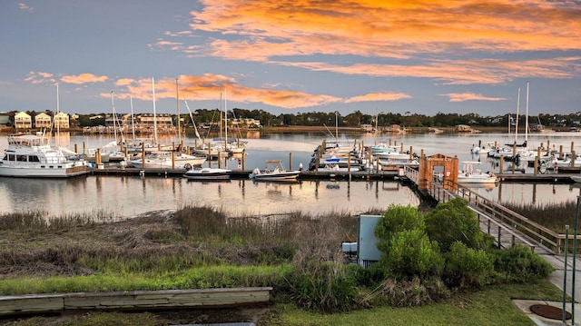 dock featuring a water view
