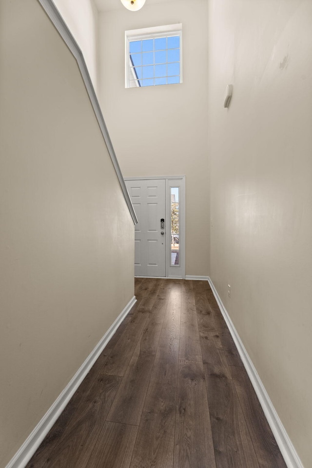 doorway with dark hardwood / wood-style flooring