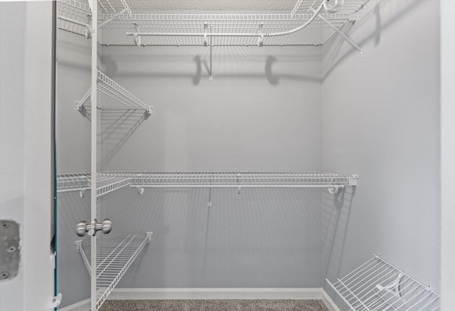 view of walk in closet