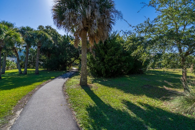 view of property's community with a lawn