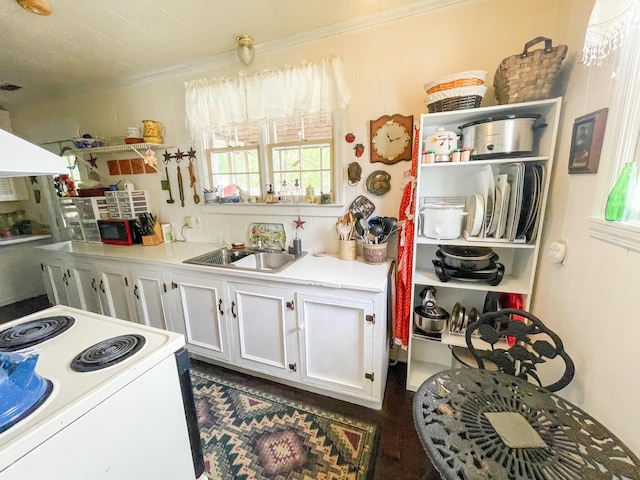 kitchen with ornamental molding, white electric range oven, ventilation hood, sink, and white cabinets