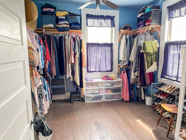 spacious closet featuring wood-type flooring and ceiling fan