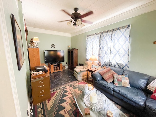 living room with ceiling fan and ornamental molding