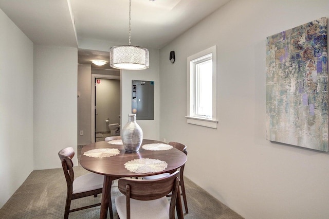 view of carpeted dining room