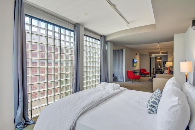 bedroom featuring carpet floors and track lighting