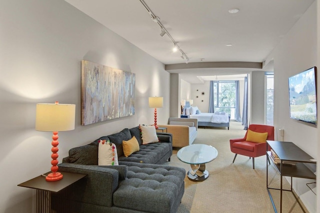 living area featuring rail lighting and carpet