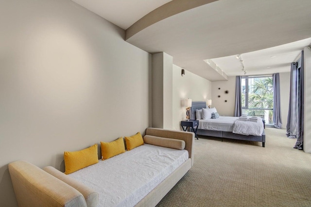 bedroom featuring track lighting and carpet