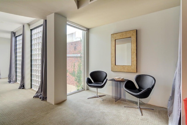 living area featuring carpet flooring