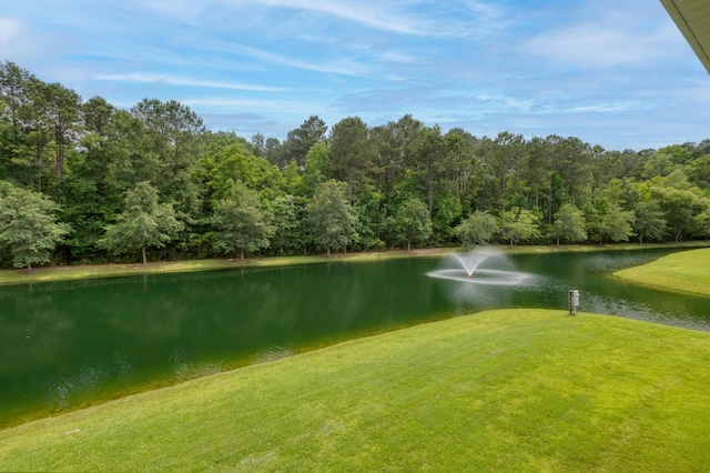 3588 Bagley Dr, Mount Pleasant, SC 29466 - water view with a heavily wooded area