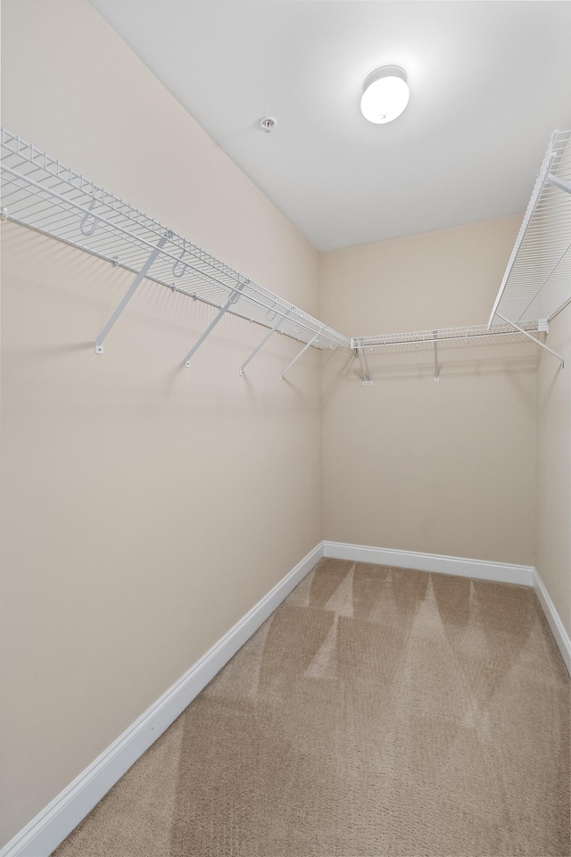 3588 Bagley Dr, Mount Pleasant, SC 29466 - spacious closet with carpet