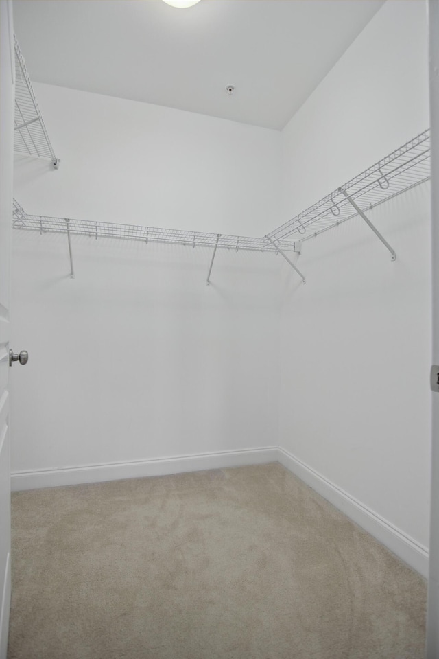 spacious closet with light colored carpet