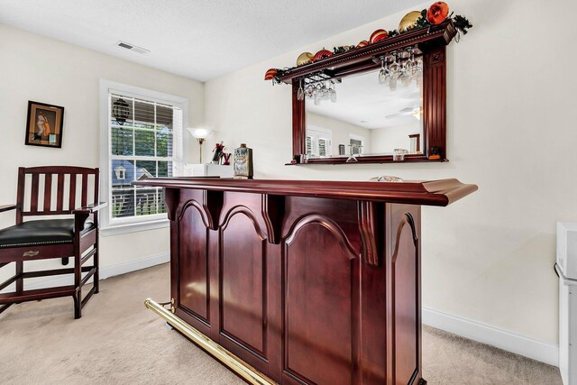 bar with light carpet and a textured ceiling