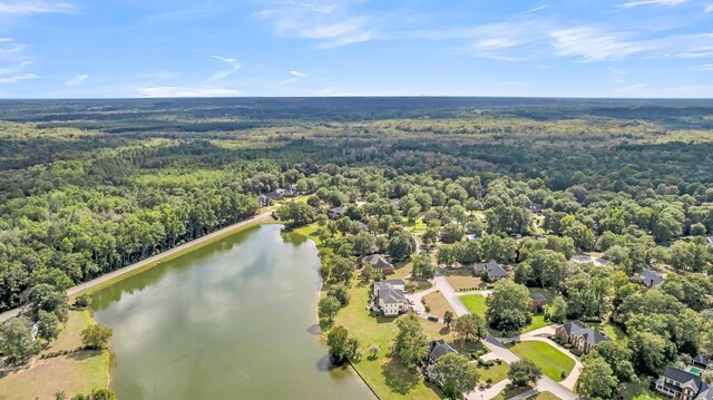 aerial view with a water view and a view of trees