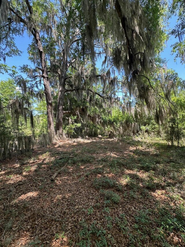 8441 Willtown Rd, Hollywood, SC 29449