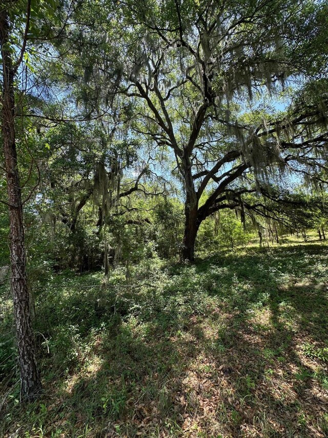 8441 Willtown Rd, Hollywood, SC 29449