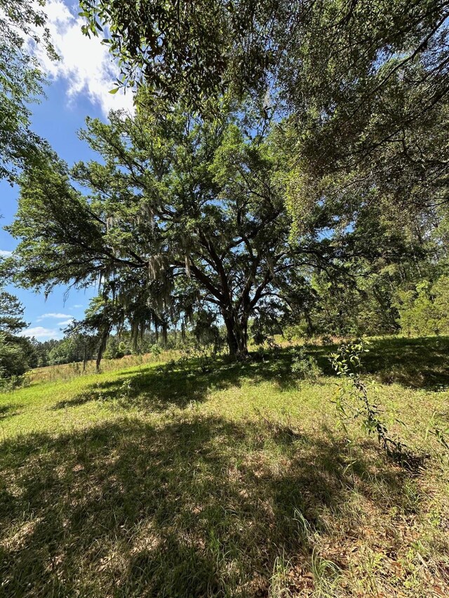 8441 Willtown Rd, Hollywood, SC 29449