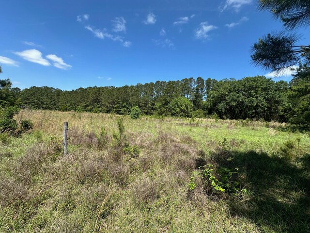 8441 Willtown Rd, Hollywood, SC 29449