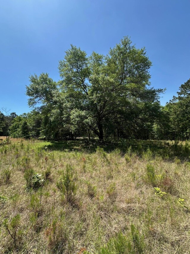 8441 Willtown Rd, Hollywood, SC 29449