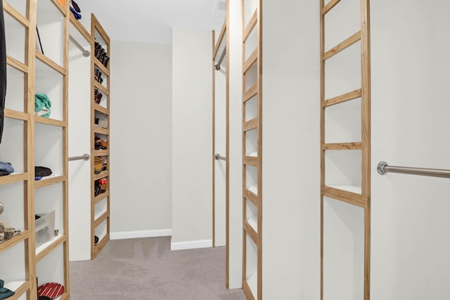 9785 Black Willow Ln, Ladson, SC 29456 - walk in closet featuring carpet