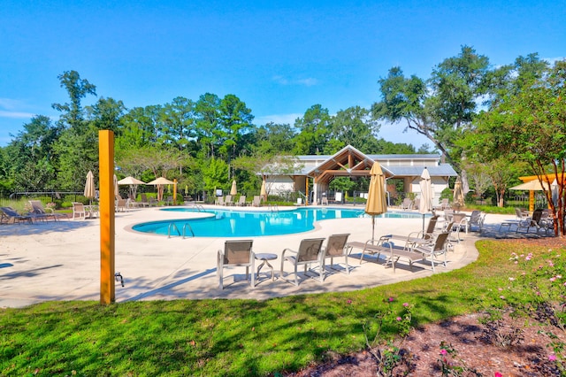 9785 Black Willow Ln, Ladson, SC 29456 - community pool featuring a patio and view of scattered trees