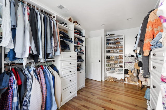 1635 Bull Creek Ln, Charleston, SC 29414 - walk in closet with light wood-type flooring