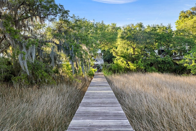 1635 Bull Creek Ln, Charleston, SC 29414 - view of dock area