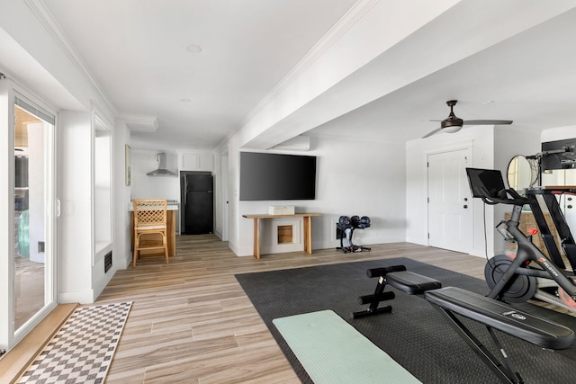 1635 Bull Creek Ln, Charleston, SC 29414 - exercise area featuring crown molding, light wood-type flooring, a ceiling fan, and baseboards