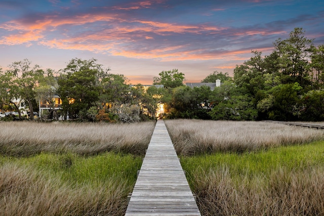 1635 Bull Creek Ln, Charleston, SC 29414 - view of dock area