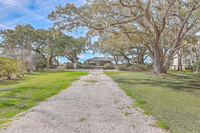 view of street featuring gravel driveway