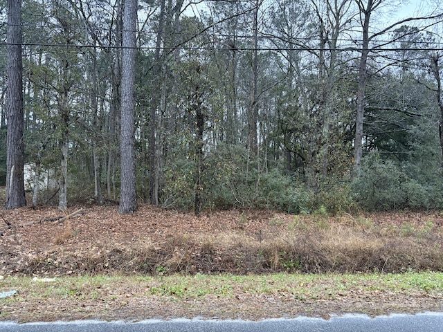 Listing photo 3 for 0 Sheldon Ct, Walterboro SC 29488