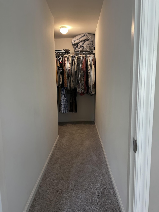 8701 Caspiana Ln, North Charleston, SC 29420 - spacious closet with carpet flooring
