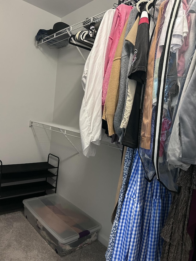8701 Caspiana Ln, North Charleston, SC 29420 - view of walk in closet