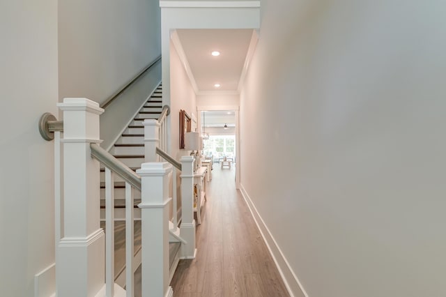 hall featuring crown molding and hardwood / wood-style flooring