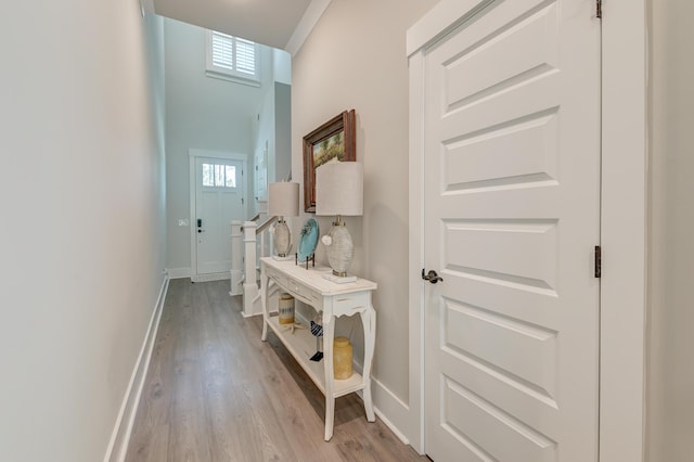 entryway featuring plenty of natural light and light wood-type flooring