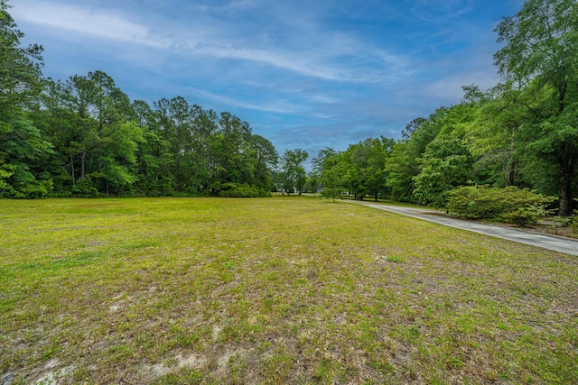 312 Piney Grove Rd, Cross, SC 29436 - view of green lawn with a forest view