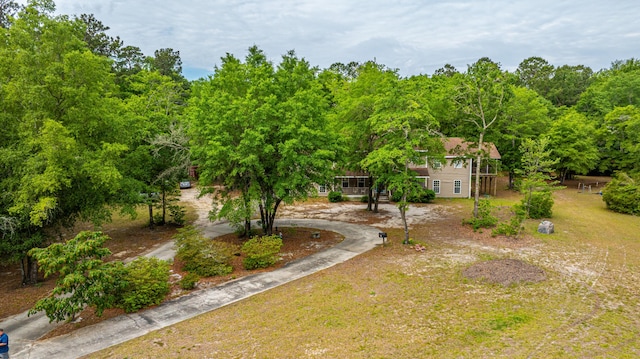312 Piney Grove Rd, Cross, SC 29436 - view of yard featuring curved driveway and a wooded view