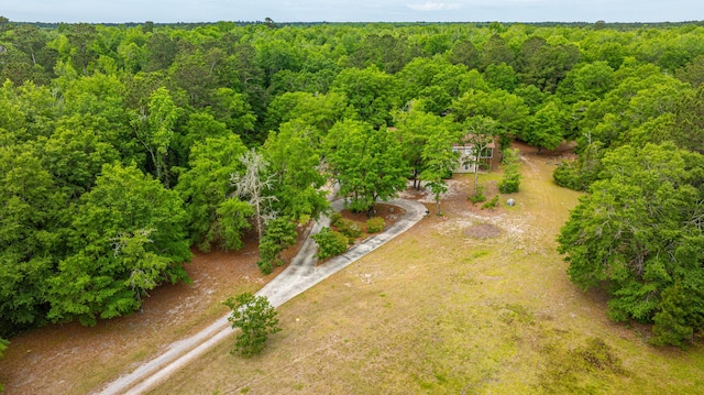 312 Piney Grove Rd, Cross, SC 29436 - aerial view of a heavily wooded area