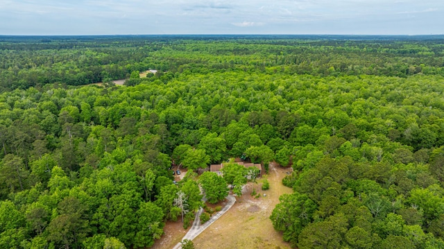 312 Piney Grove Rd, Cross, SC 29436 - bird's eye view of a heavily wooded area