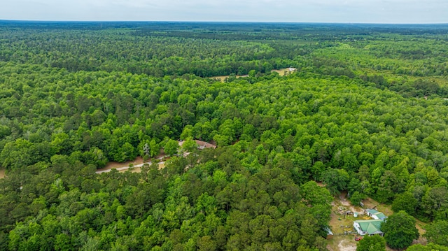 312 Piney Grove Rd, Cross, SC 29436 - bird's eye view of a forest