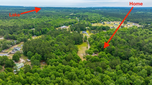 312 Piney Grove Rd, Cross, SC 29436 - aerial view of a heavily wooded area